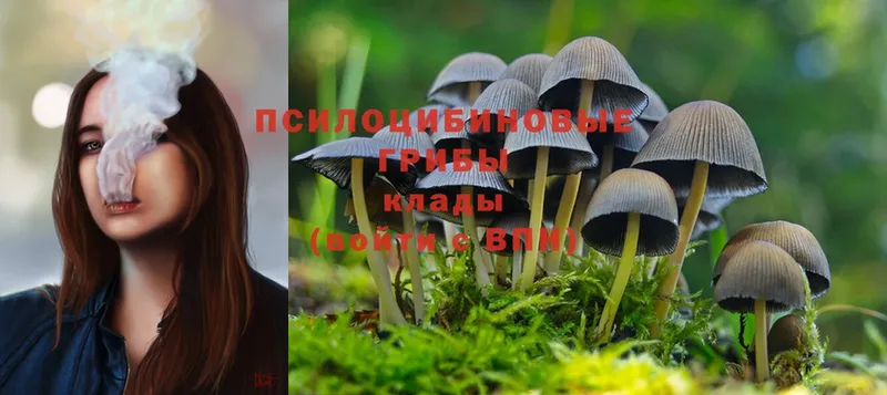 Галлюциногенные грибы Magic Shrooms  Калтан 